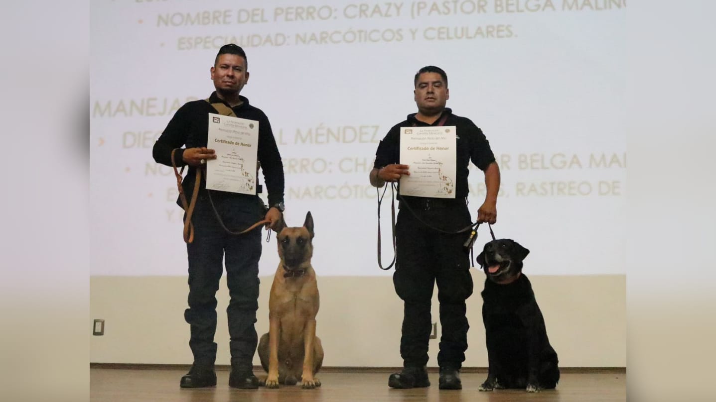 Reconocen trabajo de binomios caninos de la SGIRPCGRO en atención de emergencia en México