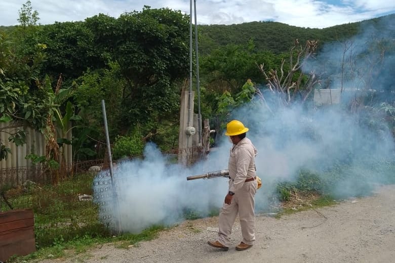 Se mantiene Guerrero en primer lugar nacional en dengue